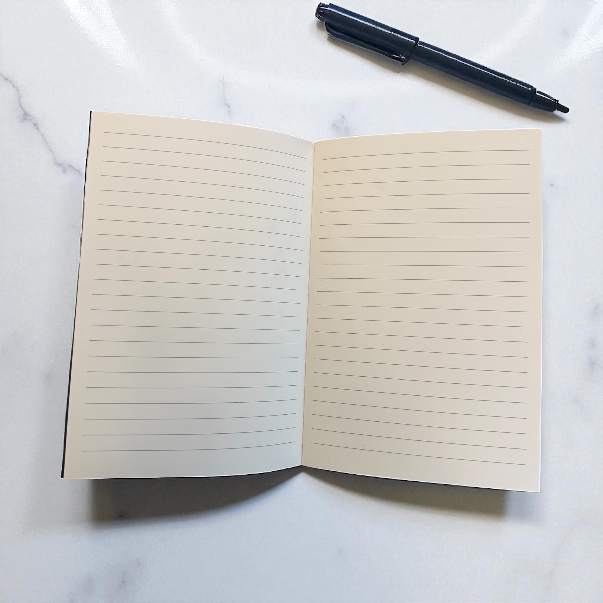 Notebook (set of 10)